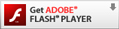 Free download of Adobe Flash Player